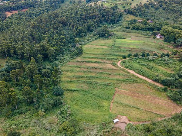 13 ha Farm