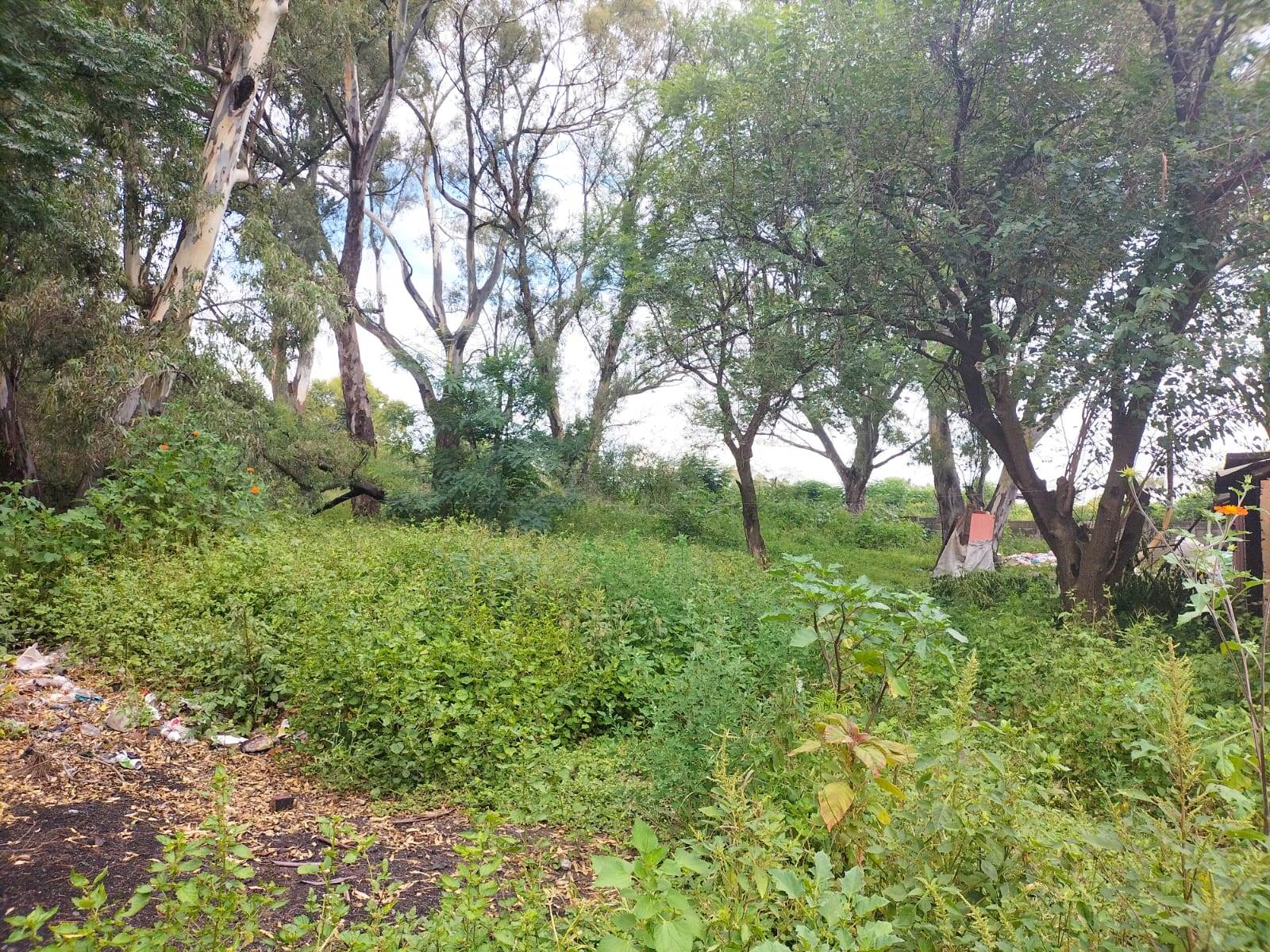 8906 m² Land available in Mountain View photo number 8