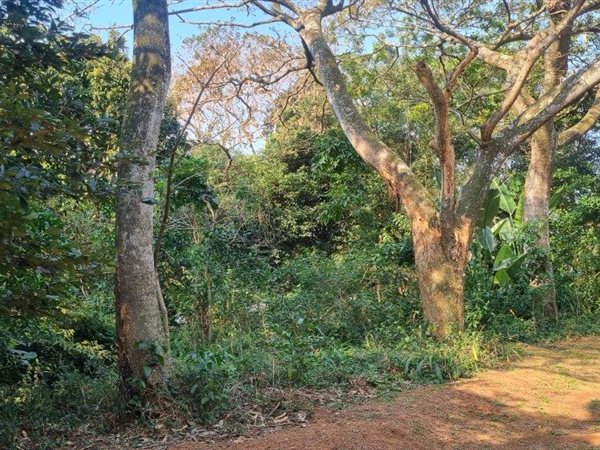 3437 m² Land available in Pumula