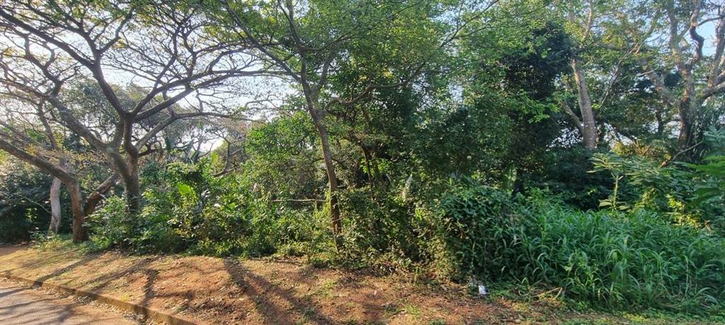 3437 m² Land available in Pumula photo number 3