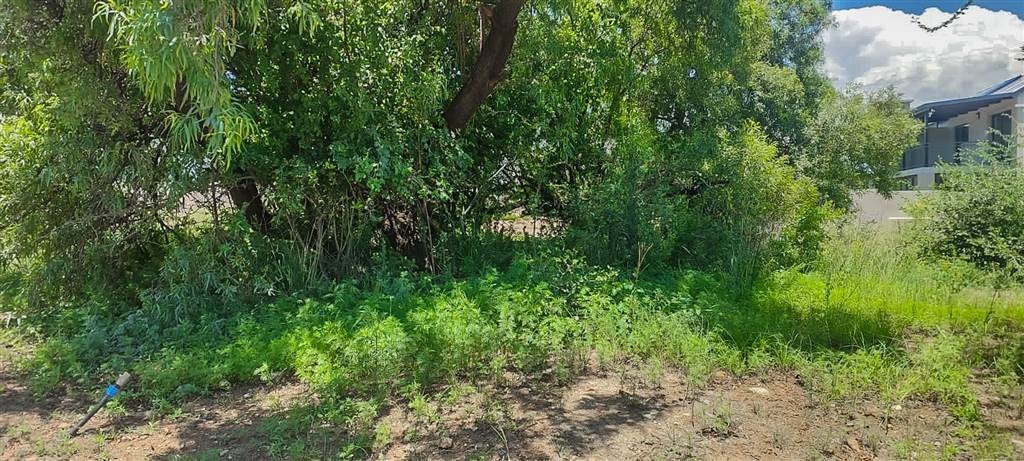 392 m² Land available in Melodie photo number 4