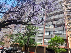 1 Bed Apartment in Hillbrow