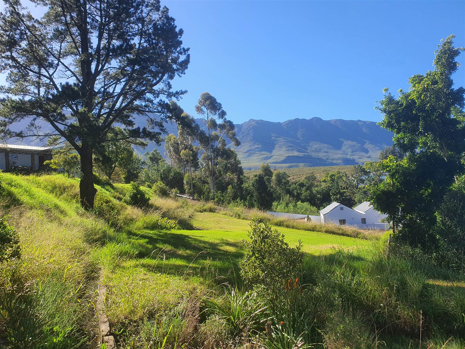 964 m² Land available in Swellendam photo number 7