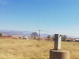 Smallholding in Bergville
