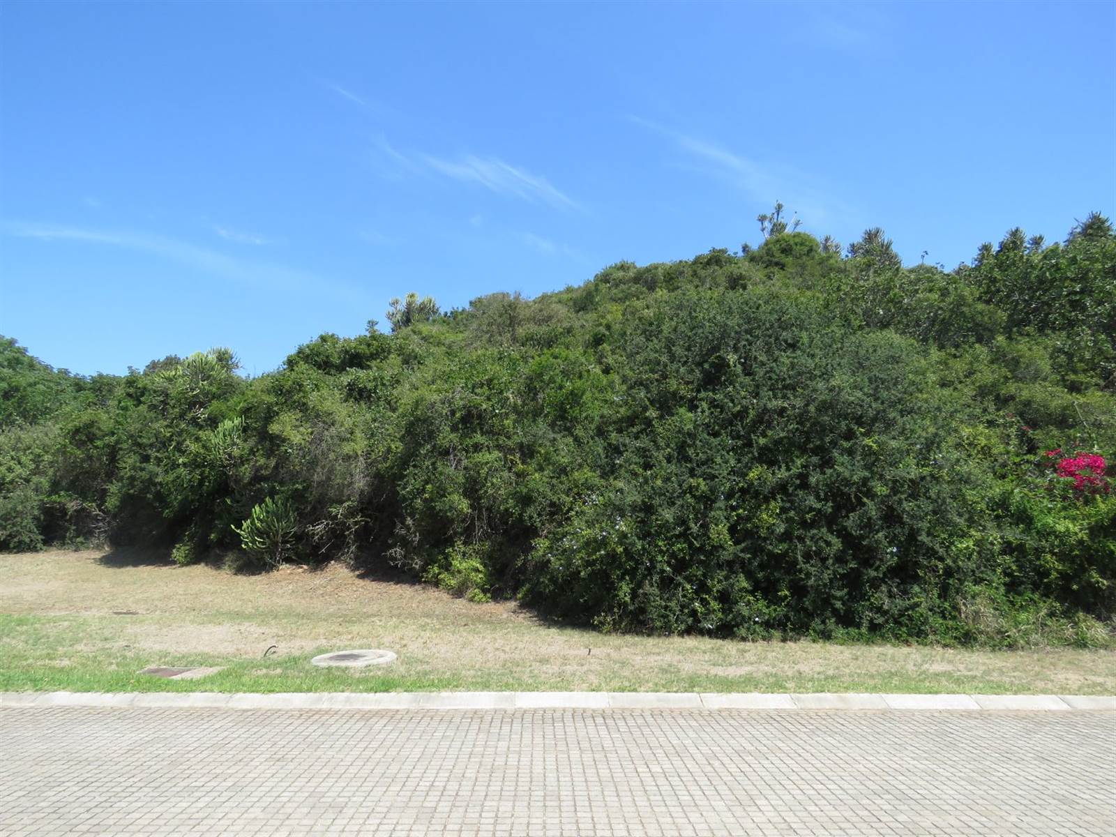 1562 m² Land available in West Bank photo number 8