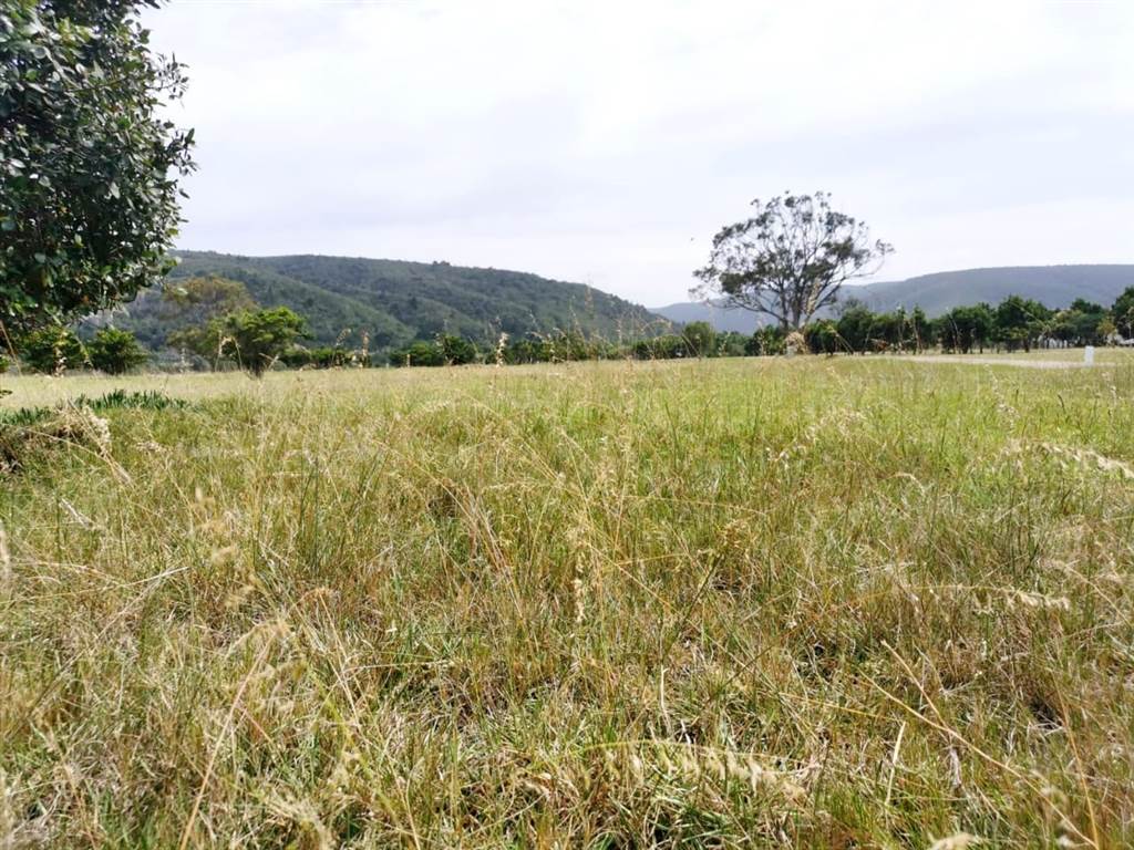 4268 m² Land available in Keurboomstrand photo number 16