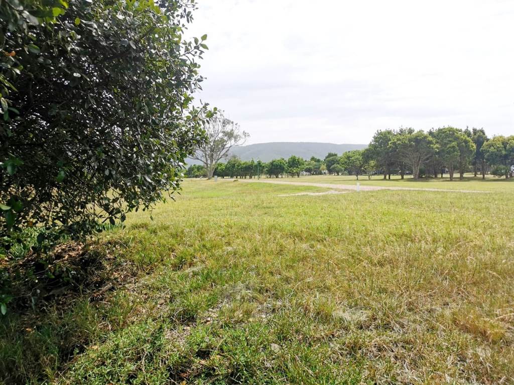 4268 m² Land available in Keurboomstrand photo number 18