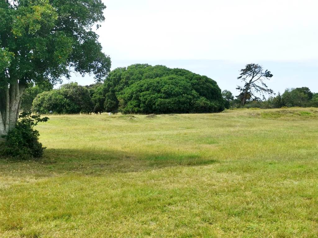4268 m² Land available in Keurboomstrand photo number 12