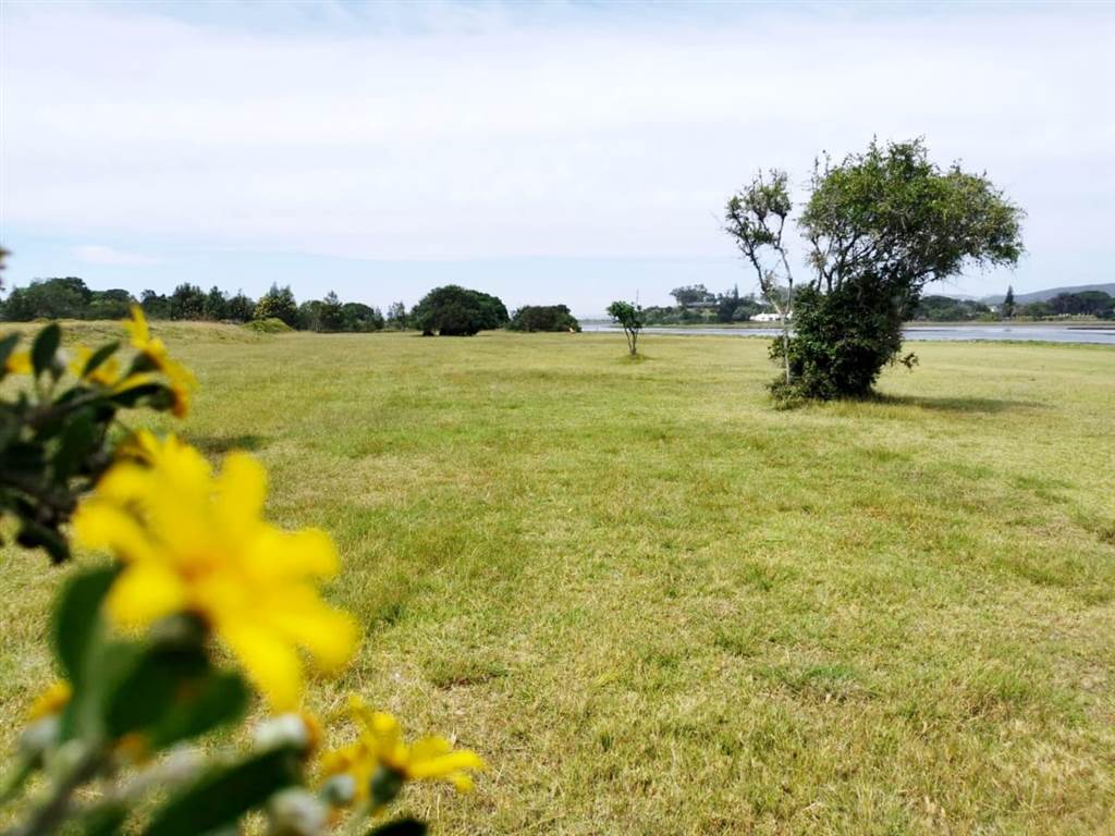 4268 m² Land available in Keurboomstrand photo number 9