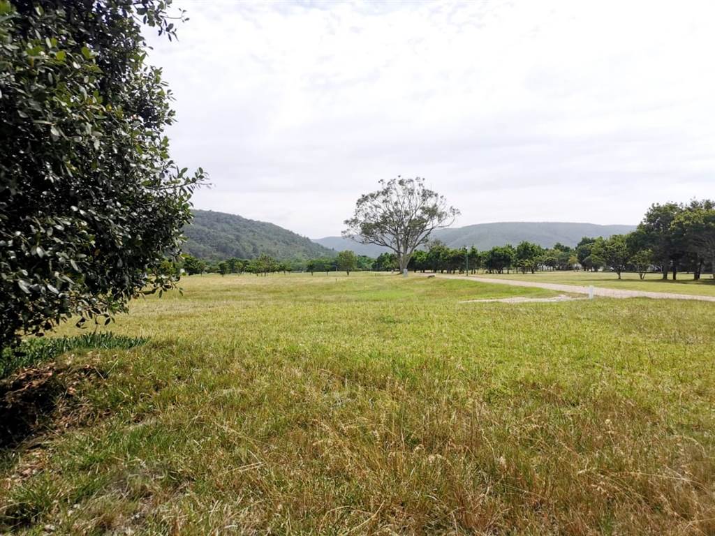 4268 m² Land available in Keurboomstrand photo number 19