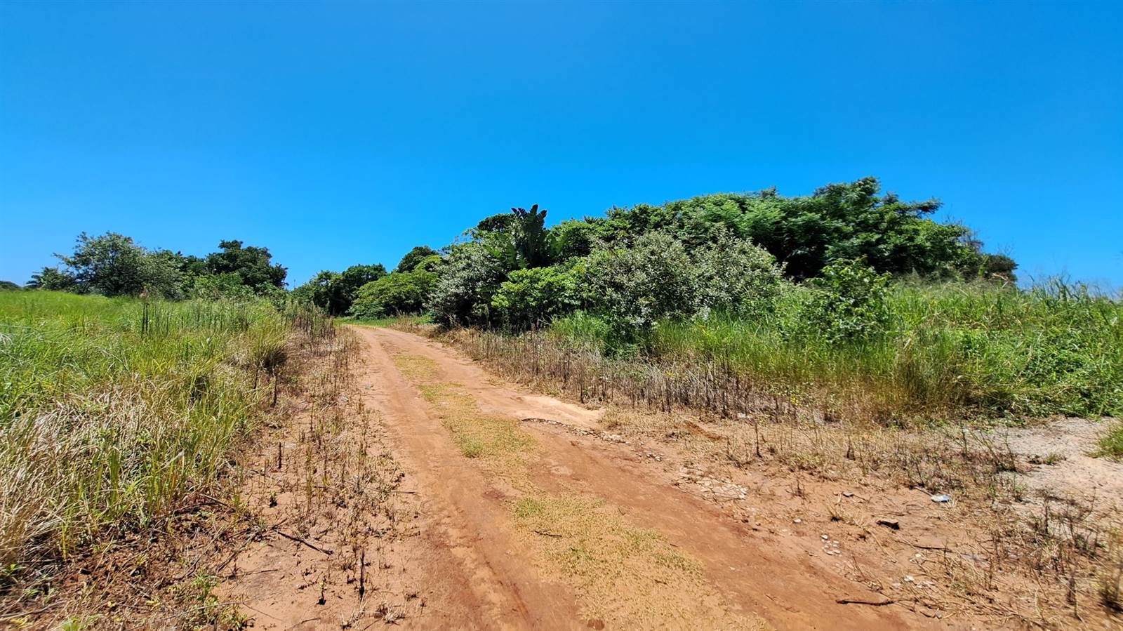 1107 m² Land available in Mtwalume photo number 8