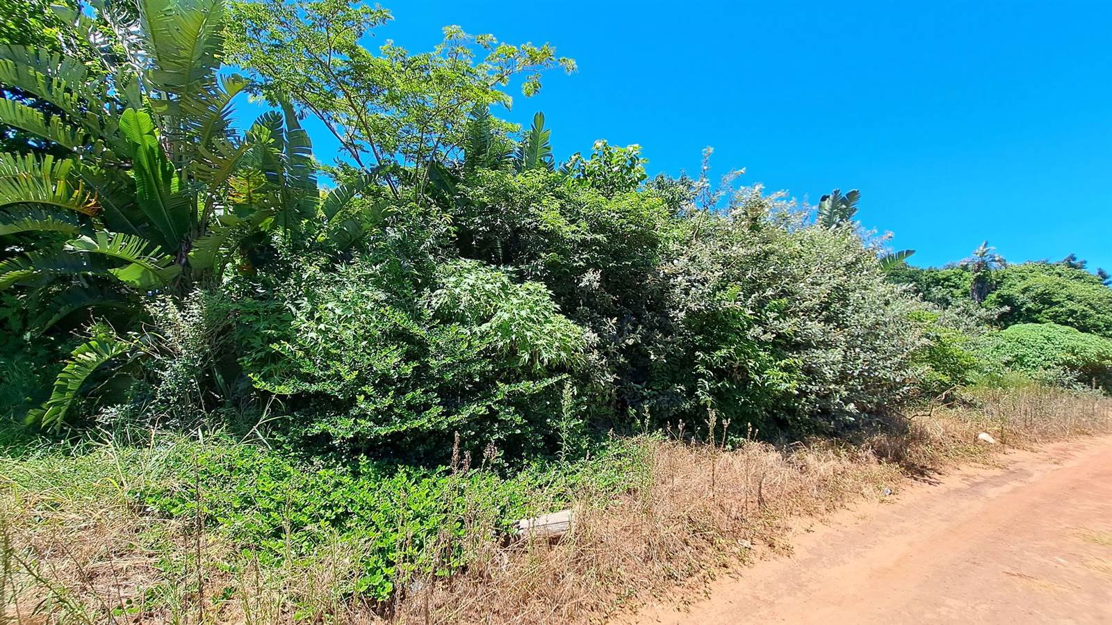 1107 m² Land available in Mtwalume photo number 7