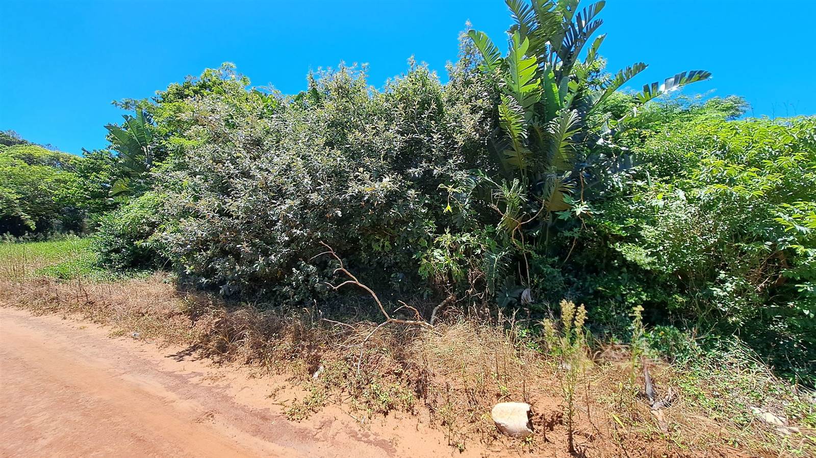 1107 m² Land available in Mtwalume photo number 5