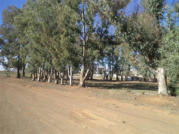 386 m² Land available in Northern Cape