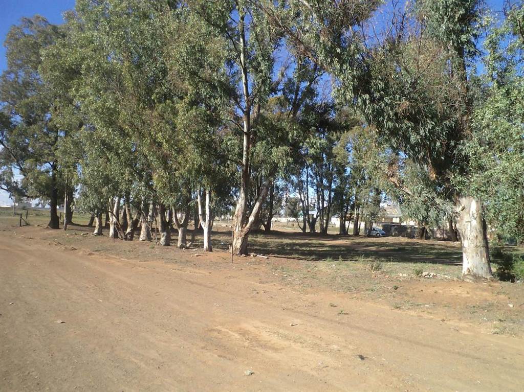 386 m² Land available in Northern Cape photo number 1
