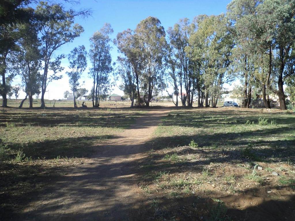 386 m² Land available in Northern Cape photo number 3