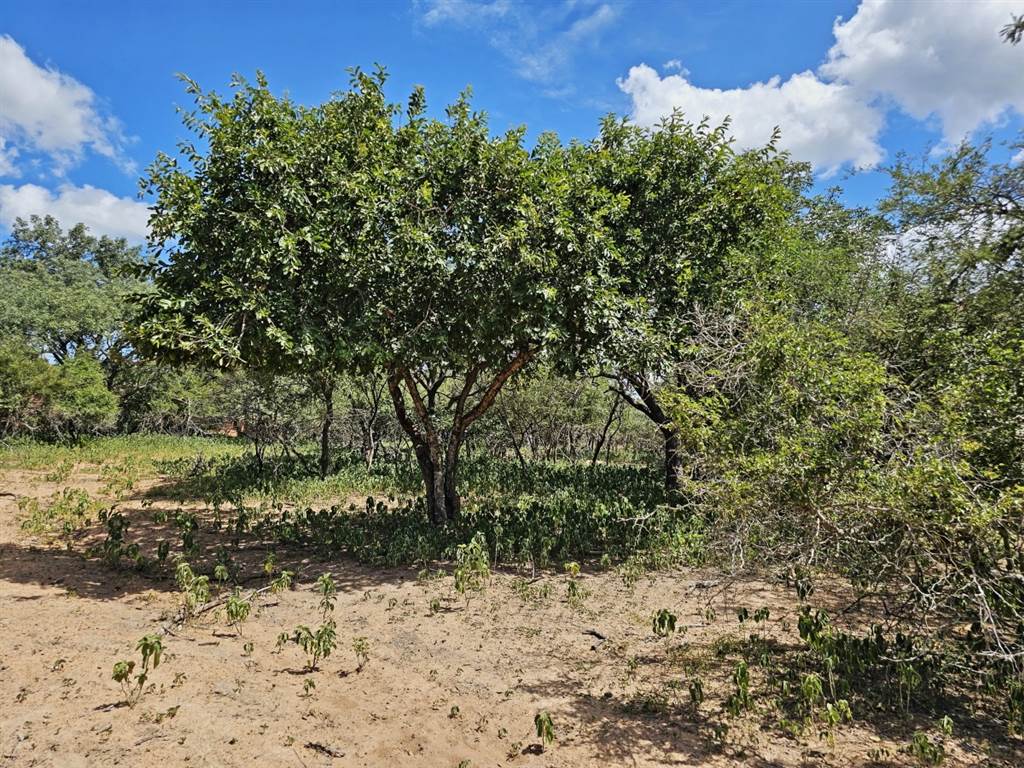 1 500 m² Land for sale in Marloth Park | T5008539 | Private Property