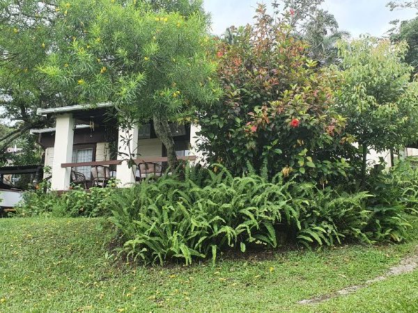 3 Bedroom House 3 Bedroom House
