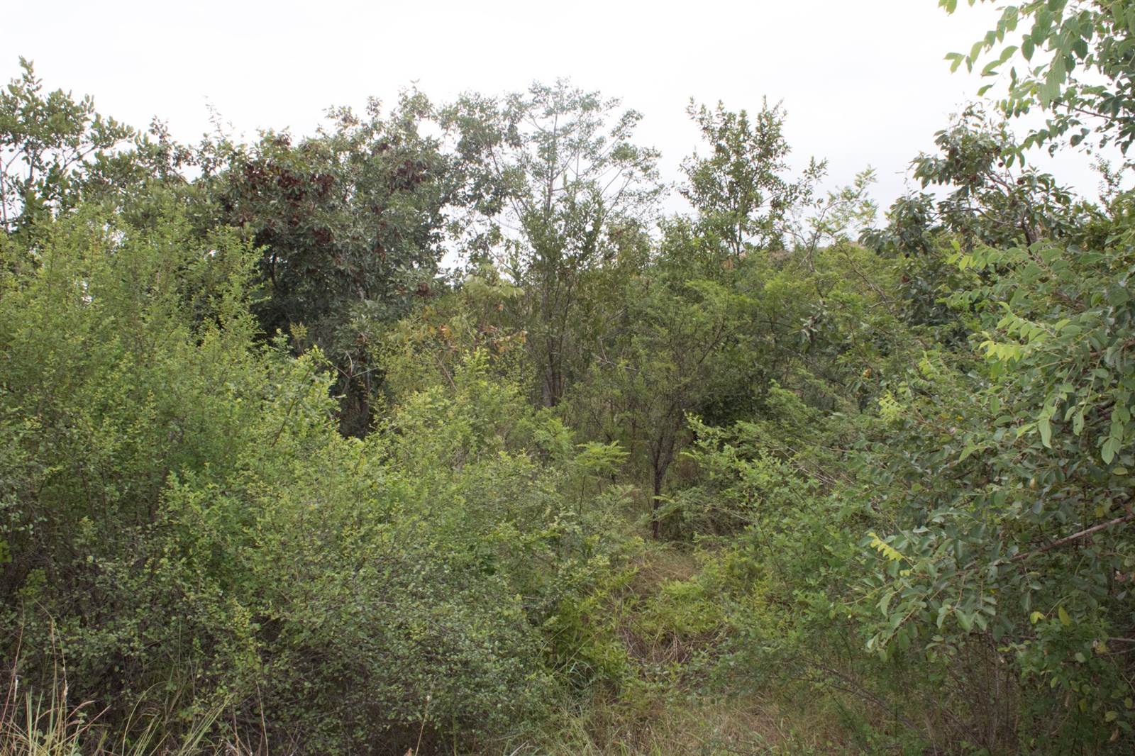 1436 m² Land available in Hazyview photo number 1