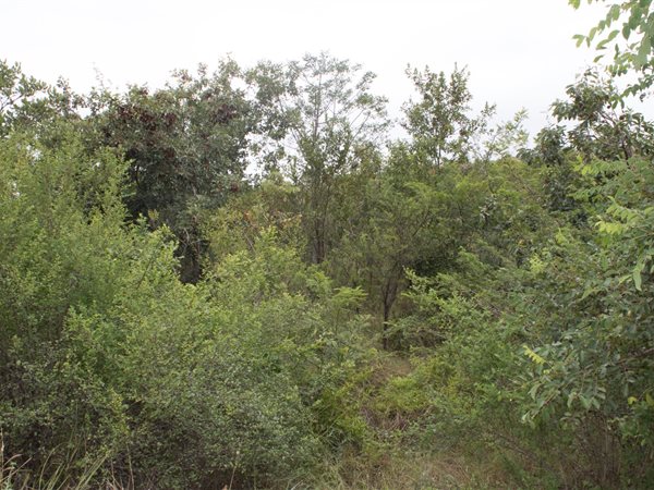 1436 m² Land available in Hazyview