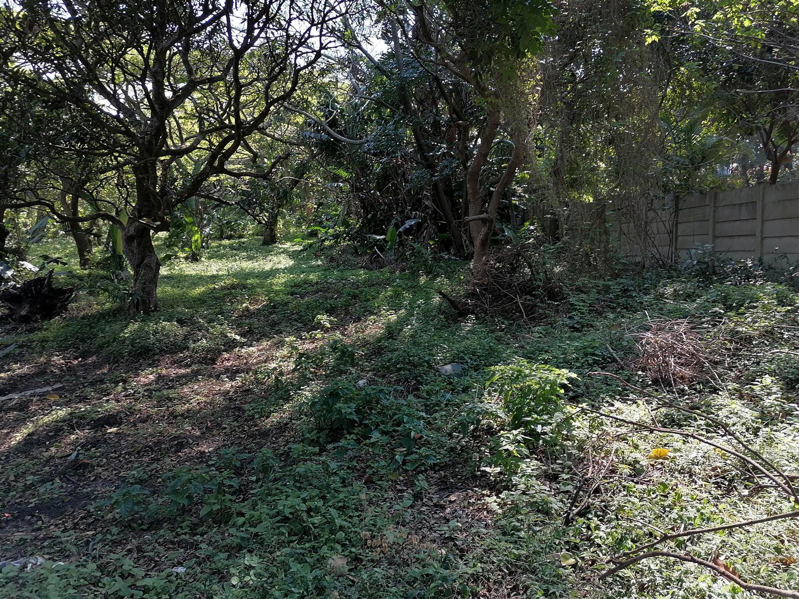 4047 m² Land available in Pennington photo number 9