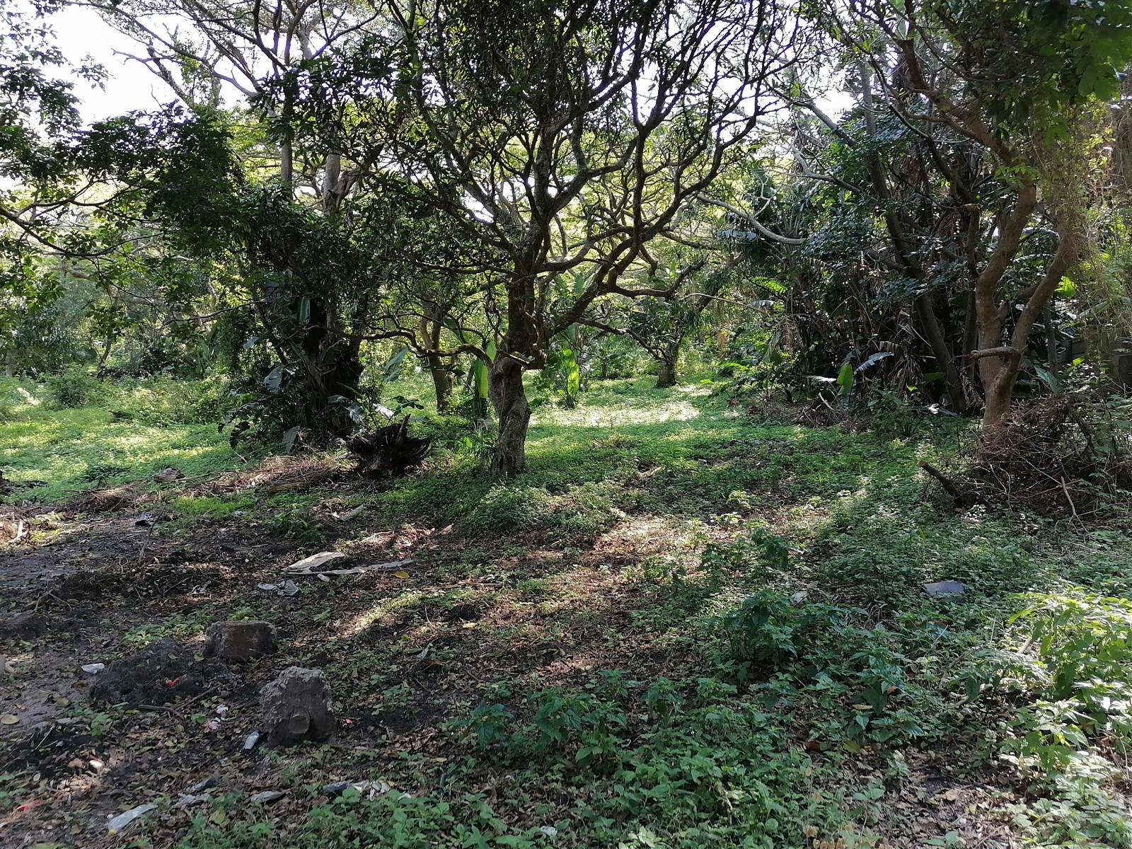 4047 m² Land available in Pennington photo number 10