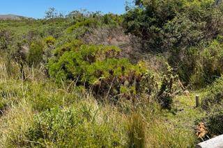 843 m² Land available in Bettys Bay photo number 6