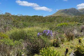 843 m² Land available in Bettys Bay photo number 4