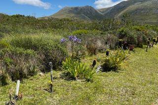 843 m² Land available in Bettys Bay photo number 2