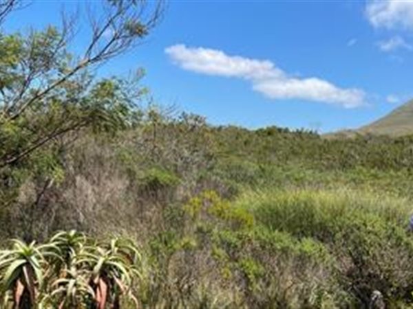 843 m² Land available in Bettys Bay