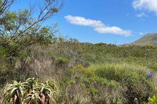 843 m² Land available in Bettys Bay photo number 1