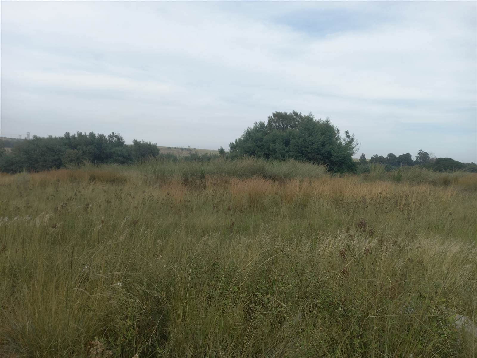 7000 m² Land available in Naauwpoort photo number 7