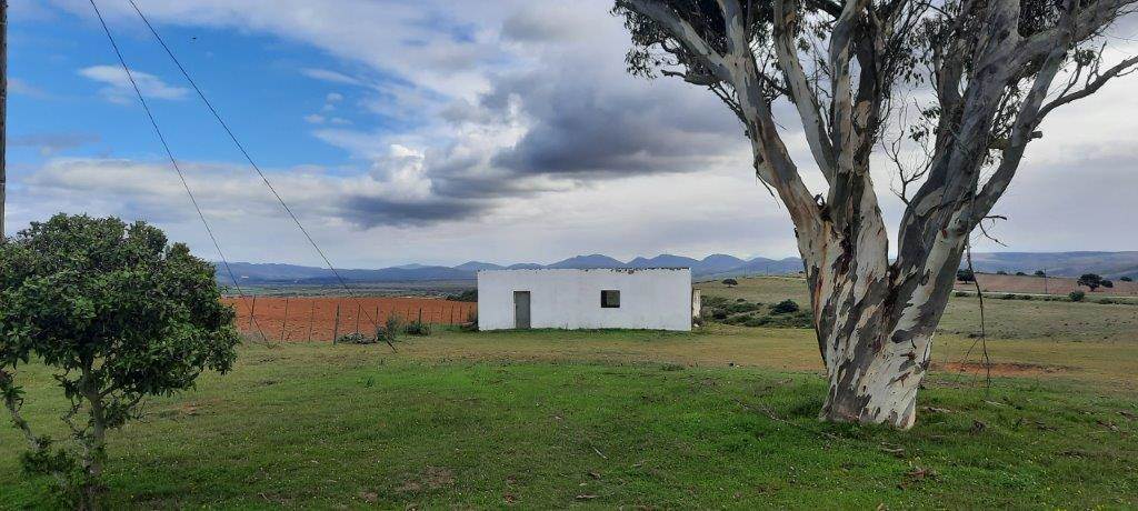 80.4 ha Farm in Mossel Bay Central photo number 19