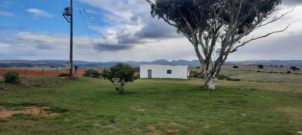 80.4 ha Farm in Mossel Bay Central photo number 4