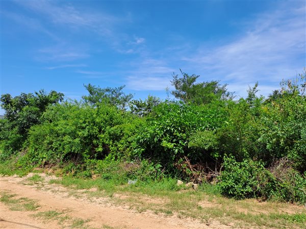 817 m² Land available in Hazyview