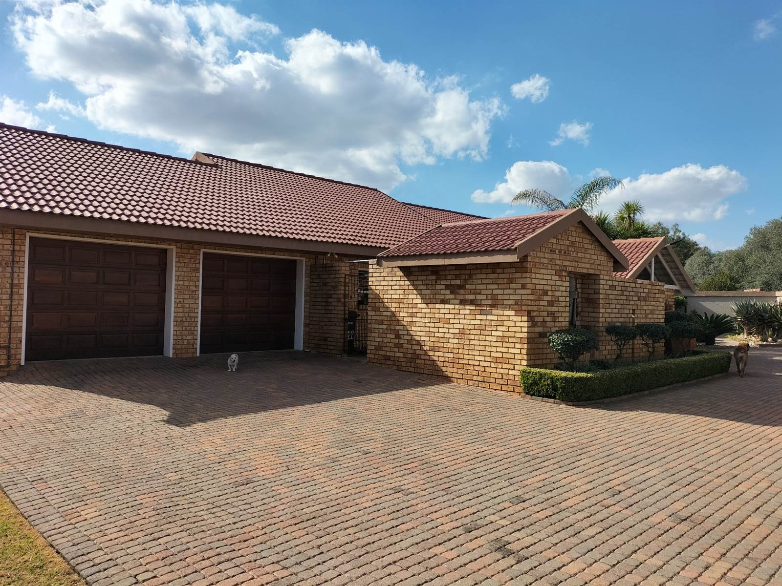 4 Bed House in Vaalpark photo number 1