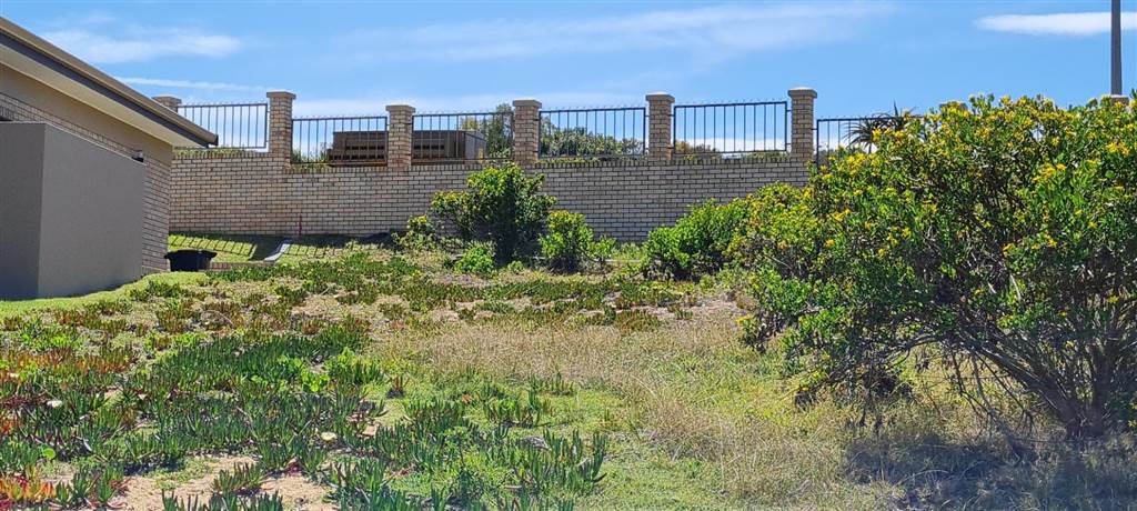 371 m² Land available in Dana Bay photo number 19