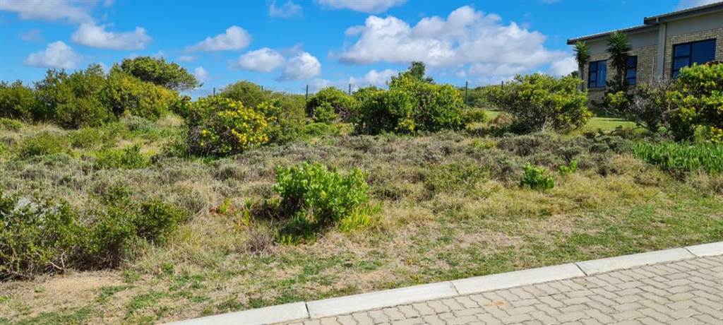 371 m² Land available in Dana Bay photo number 6