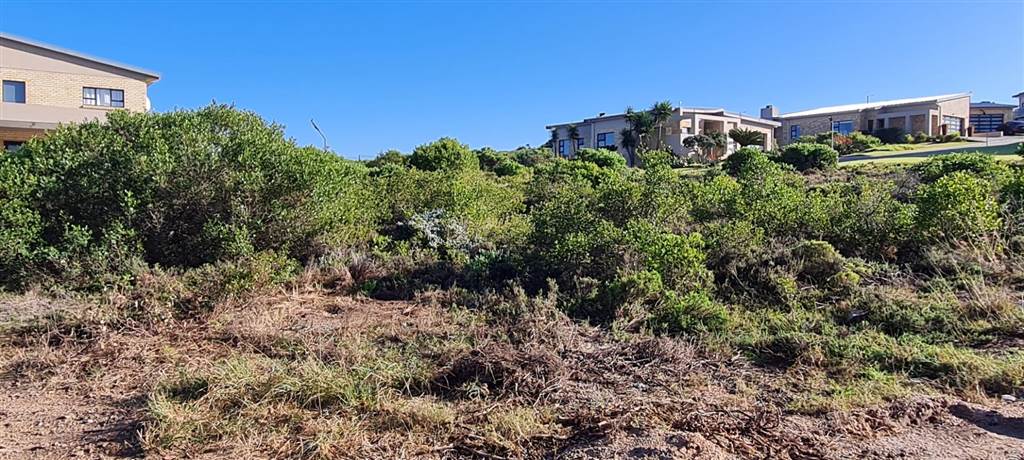 371 m² Land available in Dana Bay photo number 10