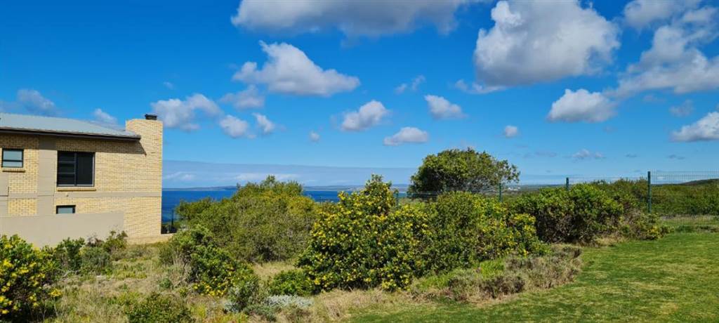 371 m² Land available in Dana Bay photo number 7