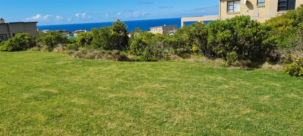371 m² Land available in Dana Bay photo number 4