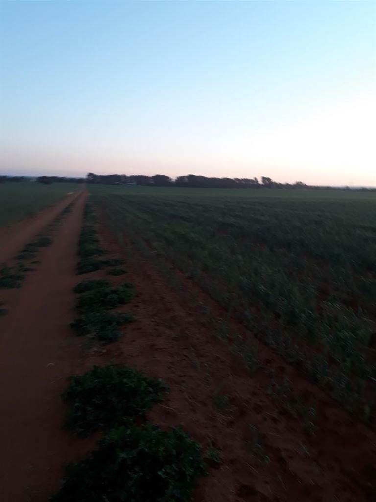 166.3 ha Farm in Bloemfontein Rural photo number 8