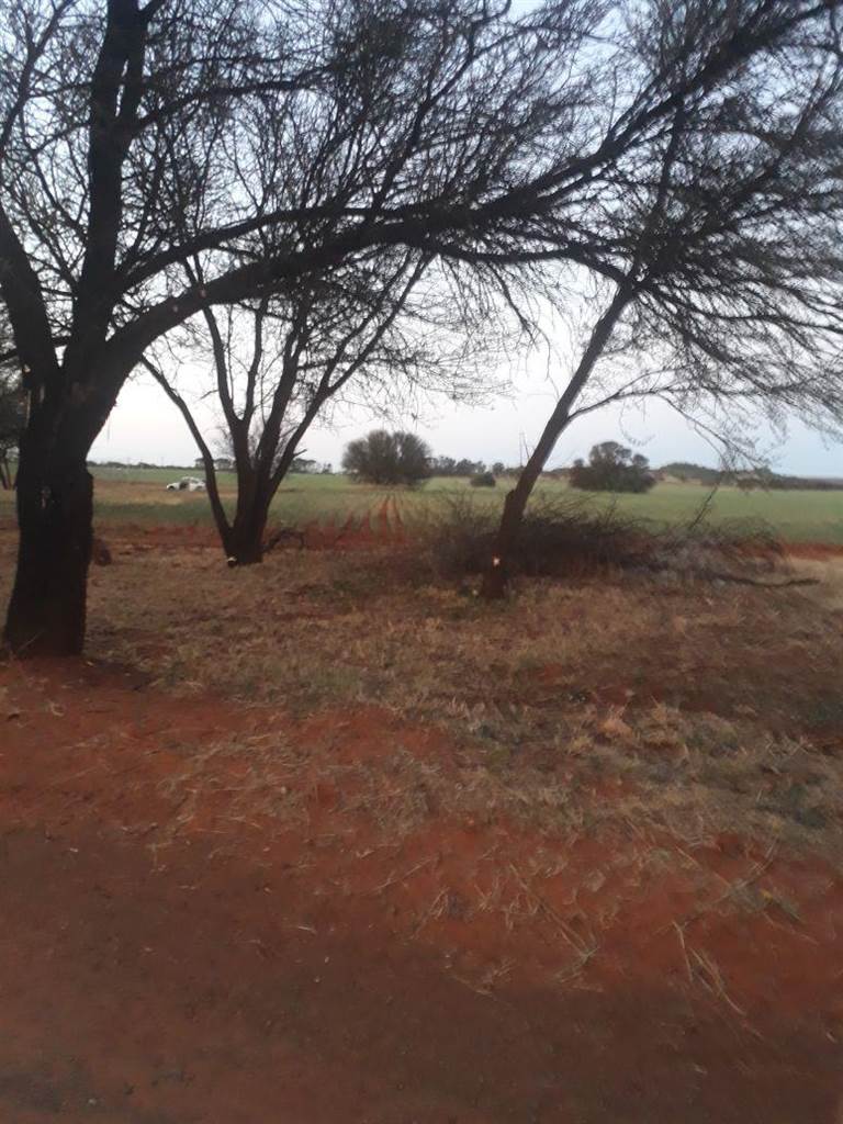 166.3 ha Farm in Bloemfontein Rural photo number 21