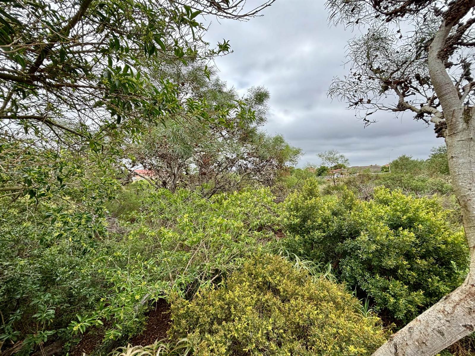 848 m² Land available in Jeffreys Bay photo number 5