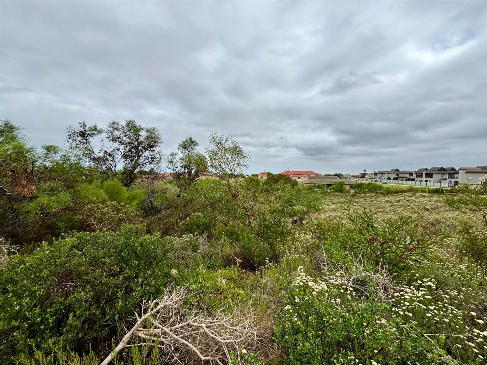 848 m² Land available in Jeffreys Bay photo number 8