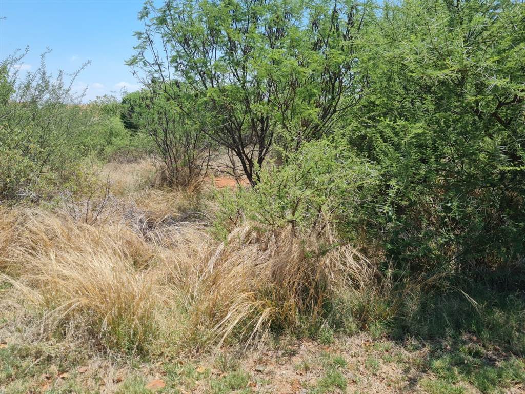 1056 m² Land available in Seasons Lifestyle Estate photo number 2