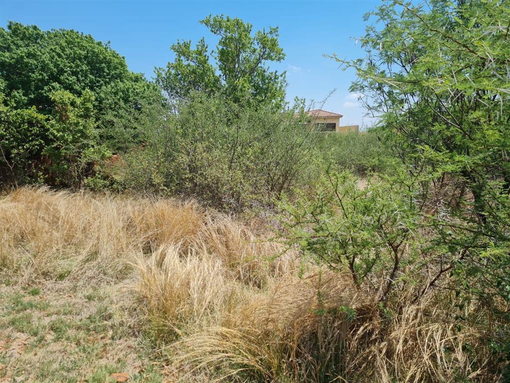 1056 m² Land available in Seasons Lifestyle Estate photo number 5