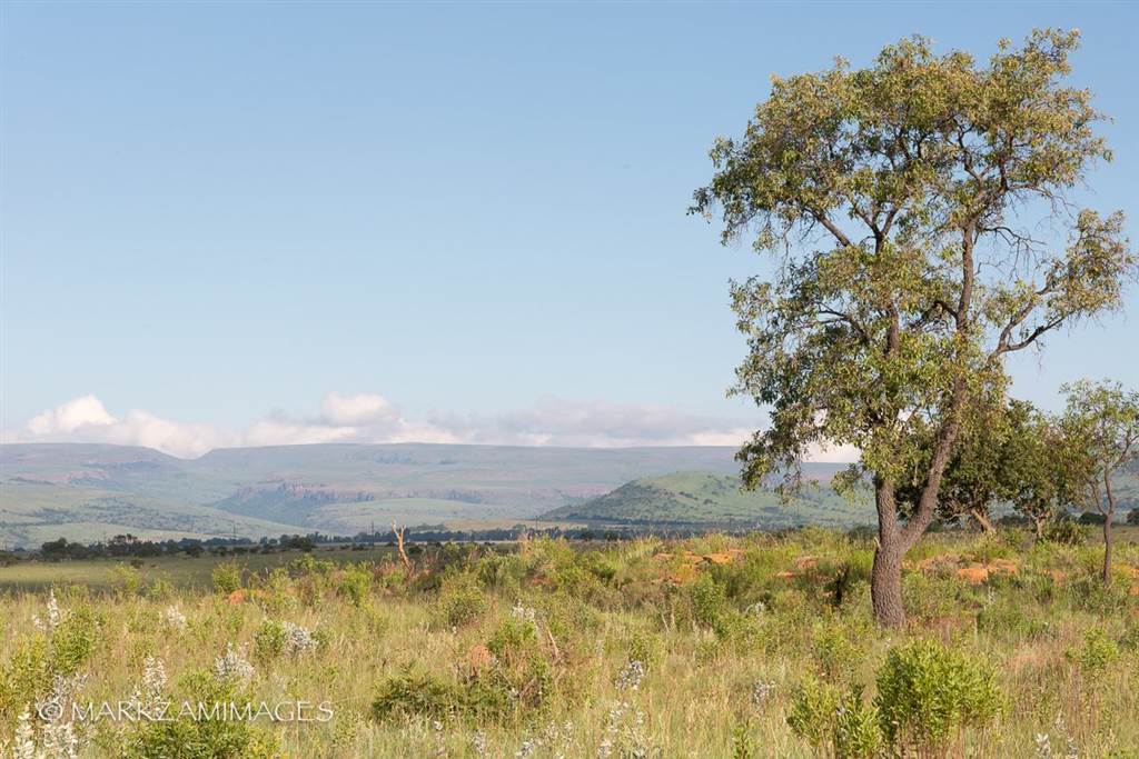 1 ha Land available in Lydenburg photo number 11