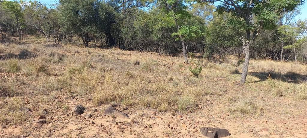 1085 m² Land available in Modimolle photo number 5