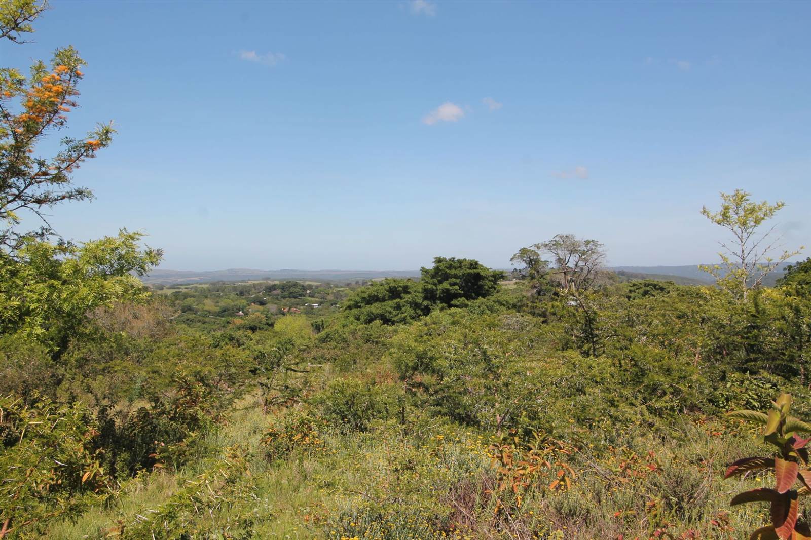 5403 m² Land available in Bathurst and Surrounds photo number 2